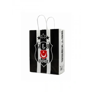 18x24 cm Temalı Lisanslı Kağıt Çanta (2 Adet)