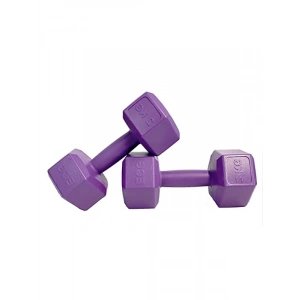 2 Adet Altıgen Dambıl Seti - Toplam 4 Ağırlık