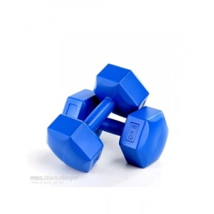 2 Adet Mavi Renkli 5lik Dambıl Seti