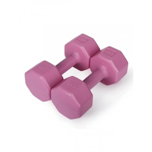 2 Adet Pembe Dambıl Seti, 2 kg Ağırlık