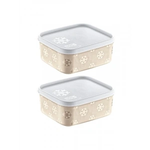 2Li Modüler No Frost Saklama Kabı Seti, 700 ML