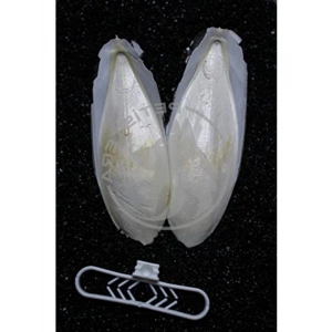 2li Mürekkep Balığı Kemiği, 12-13 cm ve Tutacak