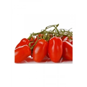 20 Adet Domates Tohumu, Patio San Marzano