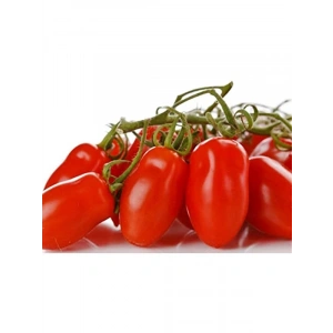 20 Adet San Marzano Domates Tohumu ile Verimli Bahçe Yetiştiriciliği