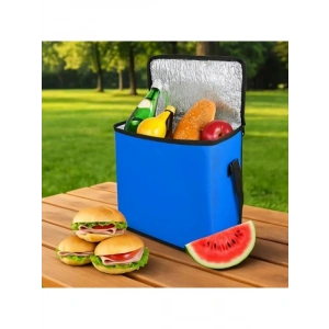 25 Litre Kapasiteli Termal Soğutucu Piknik Çantası