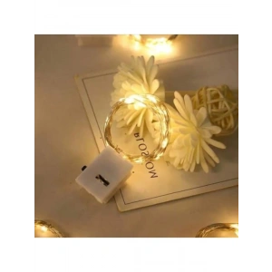 2m Uzun Pilli Peri Led Işık - Gün Işığı