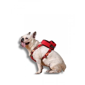 2’si 1 Arada Ayarlanabilir Göğüs Tasması ve Sırt Çantası