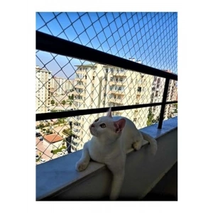2x2 Metre Kedi Güvenlik Filesi Balkon İçin 2 Mm Kalınlık