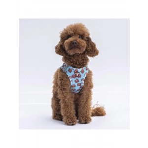 2XS Boyutunda Air-Mesh Köpek Göğüs Tasması
