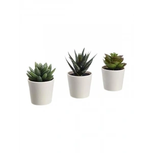 3lü Paket Yapay Saksı Bitkisi - Etli Yapı ve Modern Tasarım