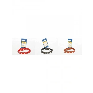 31 cm Metal Aksesuarlı Deri Boyun Tasma, Dayanıklı ve Şık