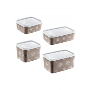 4lü No Frost Saklama Kabı Seti