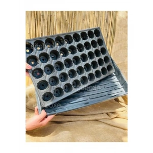 45 Gözlü Fide Viyolü, 5 cm Derinlikte Tepsi ile 2 Adet Set