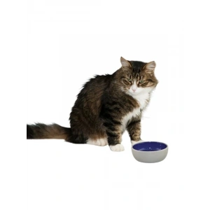 5 İnç Seramik Tabak, Kedi ve Sürüngenler için