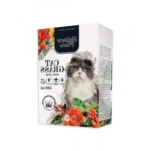 500 ml Kedi Çimi, Doğal ve Sağlıklı