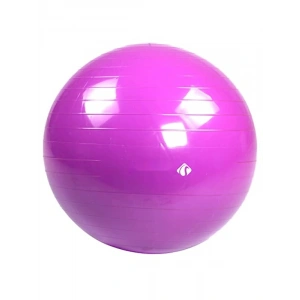 65 cm Pilates Topu - Dura-Strong Mor