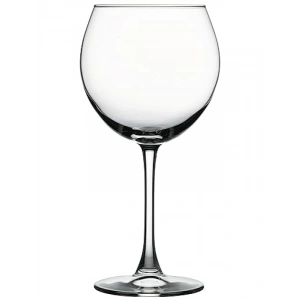 655 cc Kapasiteye Sahip 2li Şarap Kadehi Seti