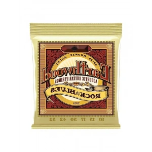 80/20 Bronz Akustik Gitar Telleri (Kalınlık 10-52)