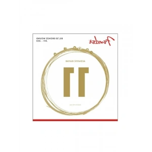 80/20 Bronze Custom Light Akustik Gitar Teli Seti