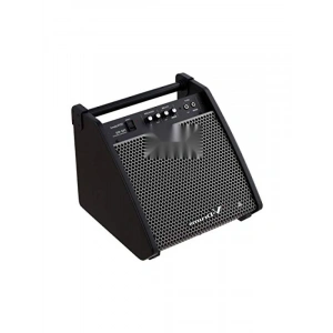 80W Davul Monitörü - Güçlü Ses Performansı