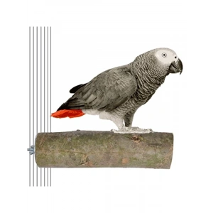 Ağaç Kütük Papağan Tüneği, 17 cm