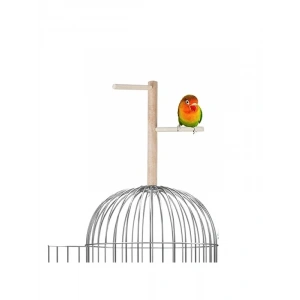 Ağaç Sopalı Kuş Tüneği 23 cm