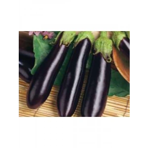 Aksel Patlıcan Kemer Tohumu - 10 gr