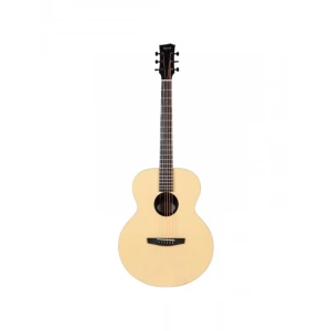 Akustik Gitar - Auditorium Modeli