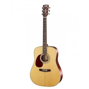 Akustik Gitar - Dünya Serisi, Doğal Saten Kaplama