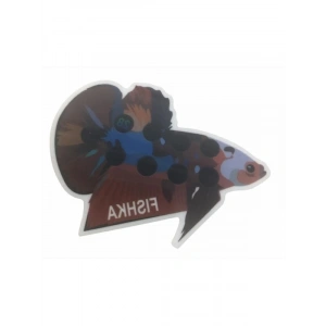 Akvaryum İçin Yapışkan Beta Balığı Derece