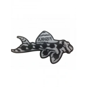 Akvaryum Yapışkan Vatoz Balığı Derece