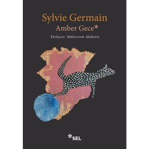 Amber Gece - Sylvie Germain