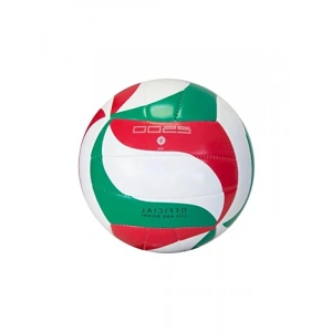 Antrenman İçin Kaliteli Pu Deri Voleybol Topu