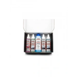 Araç Kış Bakım Seti, 5li Set