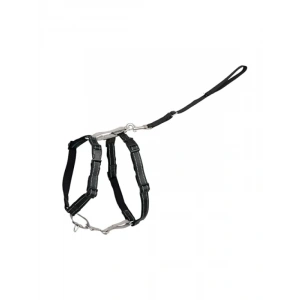 Ayarlanabilir 3ü 1 Arada Köpek Koşum Kayışı