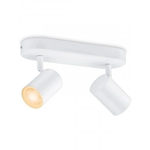 Ayarlanabilir Beyaz ve Renkli Spot Tavan Lambası, 2x5W