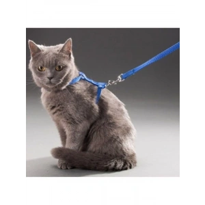 Ayarlanabilir ve Konforlu Kedi Tasması - 110 cm