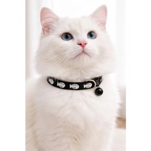 Ayarlanabilir Zilli Kedi Boyun Tasması - Siyah