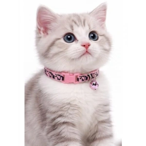 Ayarlenebilir Zilli Kedi Boyun Tasması - Alaca Desenli