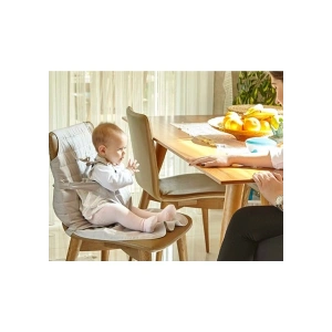 Babyjem Taşınabilir Güvenli Oturma Kiti
