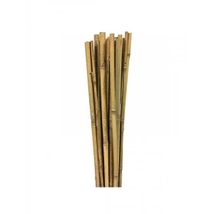 Bambu destek çubuğu, 10lu set halinde 150 cm uzunluğunda