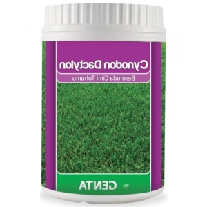 Bermuda Çim Tohumu - 500 Gr Paket