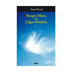 Bezgin Martı ve Çılgın Kelebek - Artun Ünsal