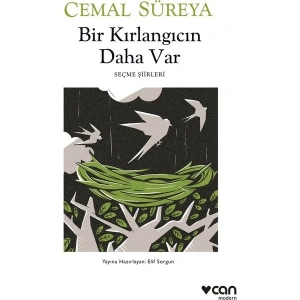 Bir Kırlangıcın Daha Var - Bir Kırlangıcın Daha Var