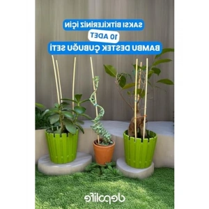 30 cm Uzunluğunda 10 Adet Bambu Bitki Destek Kazığı