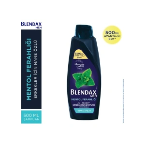 Blendax Erkekler İçin Mentol Ferahlığı Nane Özlü Şampuan 500 ml Normal Saçlar İçin