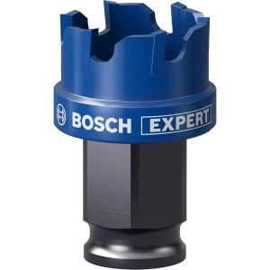 Bosch Expert Sheet Metal Delik Açma Testeresi 25 x 5 mm