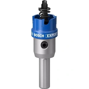 Bosch Expert Tct Elmas Uçlu Panç 18 mm