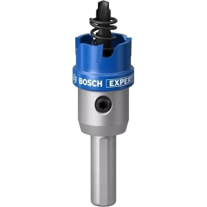 Bosch Expert Tct Elmas Uçlu Panç 22 mm