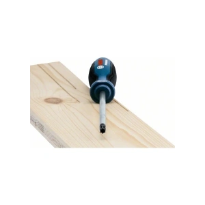 Bosch Profesyonel Torx Tornavida TX40X125